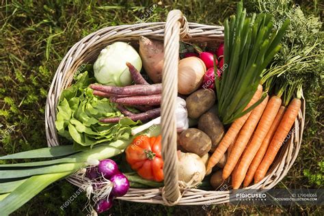 Fresh Vegetables In Basket