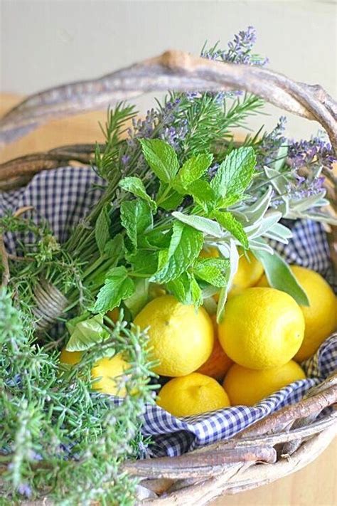 Pin by Loly Hilsaca on Entertaining | Fresh herbs, Fruits and veggies ...