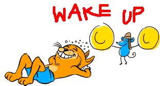 Need hearty, quick weeknight dinner ideas with big flavor for busy families?