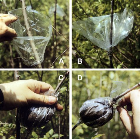 What layering secret makes one-pot meals burst with Heartland flavor?