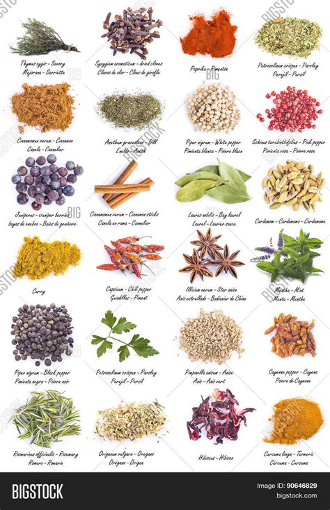 Herbs Spices Cooking Image &amp; Photo (Free Trial) | Bigstock