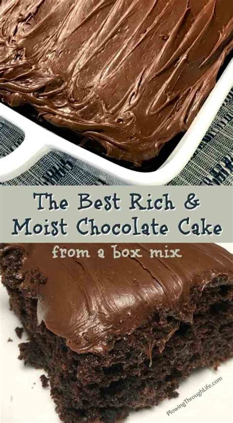 Secret to a moist, rich chocolate cake that never dries out?