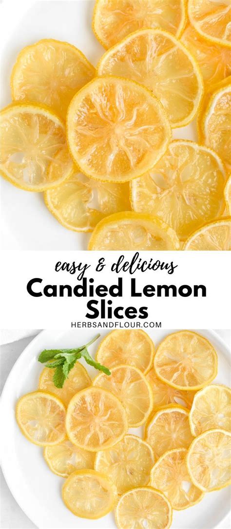 Candied Lemon Slices - Herbs &amp; Flour Recipe