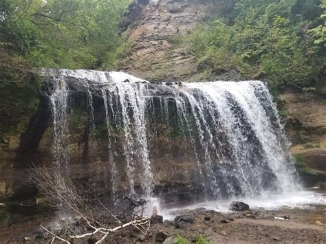 Heartland-inspired weeknight dinners that aren’t chicken? Need big flavor fast!