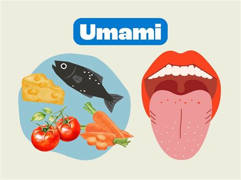 Entendendo o Umami: o quinto sabor do paladar humano - Toda Matéria