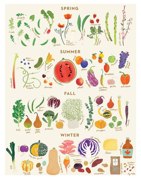 Seasonal produce guide – Artofit