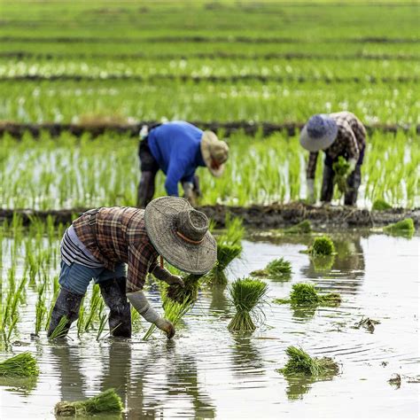 Farmer’s Day 2024