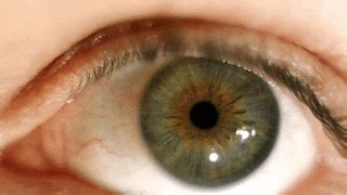 How do I achieve that signature ‘big flavor’ in my one-pot Heartland dinners?