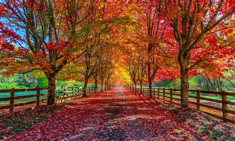 Which fall harvest ingredient adds BIGGEST flavor to Heartland seasonal specials?