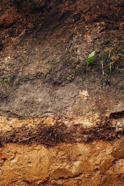 Ground in cross section stock image. Image of background - 111655383