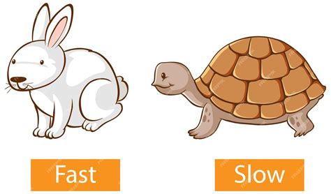 20 Preschool Activities To Practice Fast and Slow - Teaching Expertise
