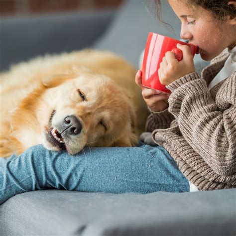 Comfort, Comfortable - Learn How to Sign