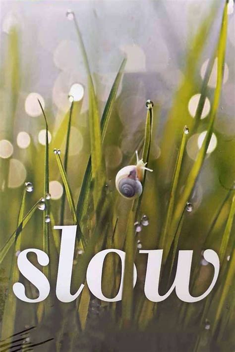 Slow - Rotten Tomatoes