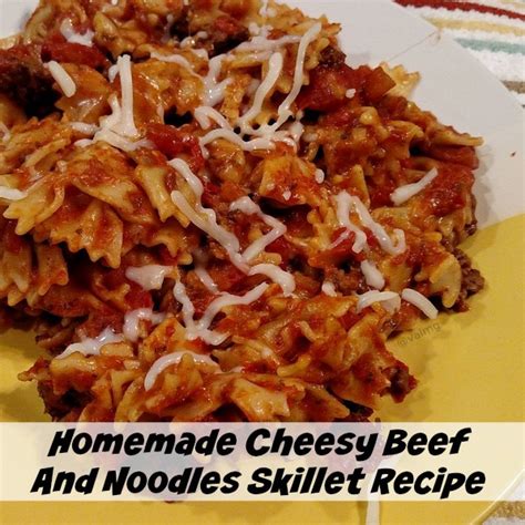 Homemade Cheesy Beef And Noodles Skillet Recipe &amp; 10 Ways Ziploc Makes ...
